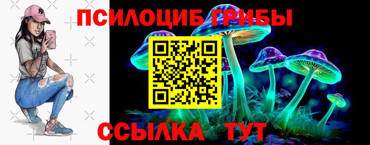 Галлюциногенные грибы MAGIC MUSHROOMS  Вход с VPN  Орск  Галлюциногенные грибы GOLDEN TEACHER 